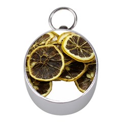 Lemon Dried Fruit Orange Isolated Mini Silver Compasses by Nexatart