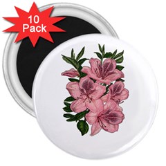 Orchid 3  Magnets (10 Pack)  by Valentinaart