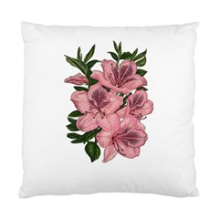 Orchid Standard Cushion Case (one Side) by Valentinaart