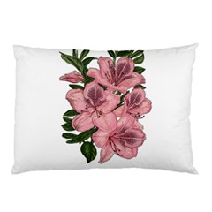 Orchid Pillow Case by Valentinaart