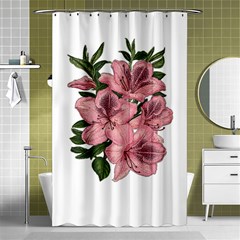 Orchid Shower Curtain 48  X 72  (small)  by Valentinaart