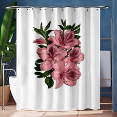 Orchid Shower Curtain 60  X 72  (medium)  by Valentinaart