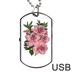 Orchid Dog Tag Usb Flash (one Side) by Valentinaart