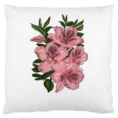 Orchid Large Cushion Case (one Side) by Valentinaart