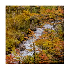 Colored Forest Landscape Scene, Patagonia   Argentina Tile Coasters by dflcprints