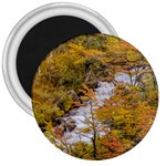 Colored Forest Landscape Scene, Patagonia   Argentina 3  Magnets Front