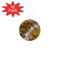 Colored Forest Landscape Scene, Patagonia   Argentina 1  Mini Magnet (10 Pack)  by dflcprints