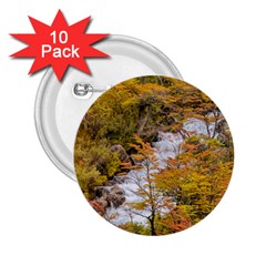 Colored Forest Landscape Scene, Patagonia   Argentina 2 25  Buttons (10 Pack)  by dflcprints