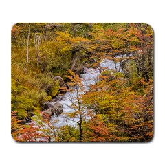 Colored Forest Landscape Scene, Patagonia   Argentina Large Mousepads by dflcprints