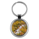 Colored Forest Landscape Scene, Patagonia   Argentina Key Chains (Round)  Front