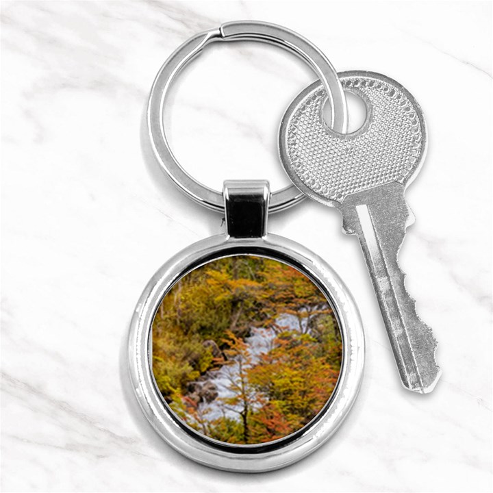 Colored Forest Landscape Scene, Patagonia   Argentina Key Chains (Round) 