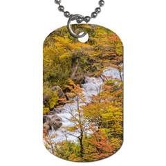 Colored Forest Landscape Scene, Patagonia   Argentina Dog Tag (two Sides) by dflcprints