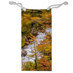 Colored Forest Landscape Scene, Patagonia   Argentina Jewelry Bag by dflcprints