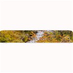 Colored Forest Landscape Scene, Patagonia   Argentina Small Bar Mats 24 x4  Bar Mat