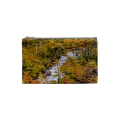 Colored Forest Landscape Scene, Patagonia   Argentina Cosmetic Bag (small)  by dflcprints