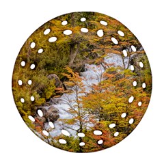 Colored Forest Landscape Scene, Patagonia   Argentina Round Filigree Ornament (two Sides) by dflcprints