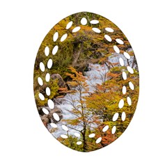 Colored Forest Landscape Scene, Patagonia   Argentina Oval Filigree Ornament (two Sides) by dflcprints