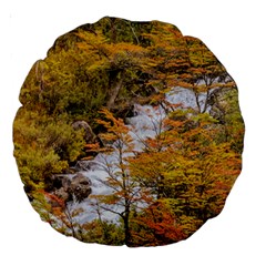 Colored Forest Landscape Scene, Patagonia   Argentina Large 18  Premium Round Cushions by dflcprints