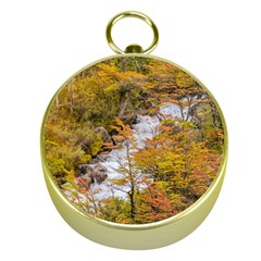 Colored Forest Landscape Scene, Patagonia   Argentina Gold Compasses by dflcprints