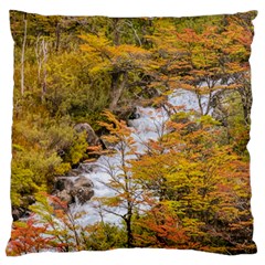 Colored Forest Landscape Scene, Patagonia   Argentina Standard Flano Cushion Case (one Side) by dflcprints