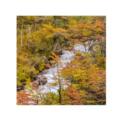 Colored Forest Landscape Scene, Patagonia   Argentina Small Satin Scarf (square)  by dflcprints