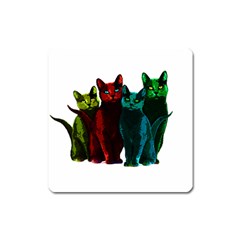 Cats Square Magnet by Valentinaart