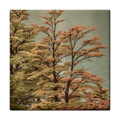 Landscape Scene Colored Trees At Glacier Lake  Patagonia Argentina Tile Coasters by dflcprints