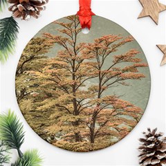 Landscape Scene Colored Trees At Glacier Lake  Patagonia Argentina Ornament (round) by dflcprints