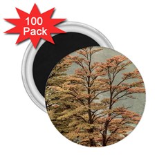 Landscape Scene Colored Trees At Glacier Lake  Patagonia Argentina 2 25  Magnets (100 Pack)  by dflcprints