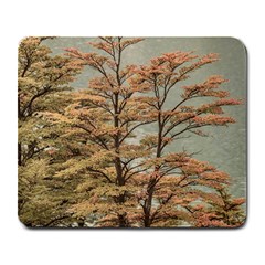 Landscape Scene Colored Trees At Glacier Lake  Patagonia Argentina Large Mousepads by dflcprints