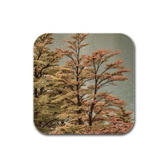 Landscape Scene Colored Trees At Glacier Lake  Patagonia Argentina Rubber Square Coaster (4 Pack)  by dflcprints