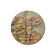 Landscape Scene Colored Trees At Glacier Lake  Patagonia Argentina Magnet 3  (round) by dflcprints