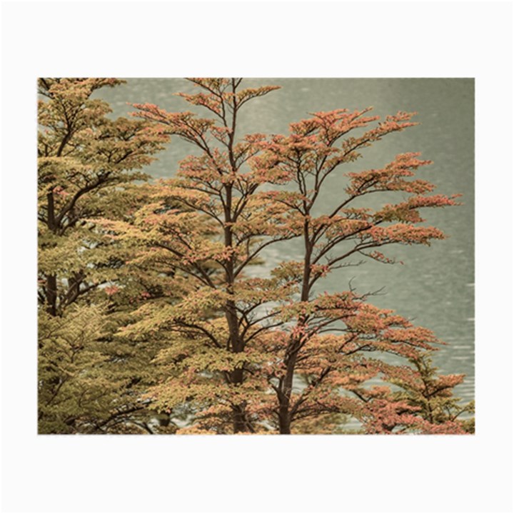 Landscape Scene Colored Trees At Glacier Lake  Patagonia Argentina Small Glasses Cloth