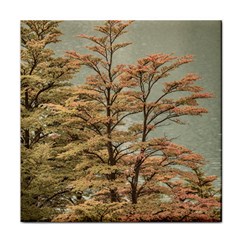 Landscape Scene Colored Trees At Glacier Lake  Patagonia Argentina Face Towel by dflcprints