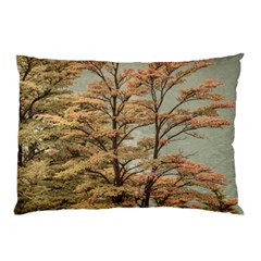 Landscape Scene Colored Trees At Glacier Lake  Patagonia Argentina Pillow Case by dflcprints