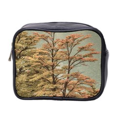 Landscape Scene Colored Trees At Glacier Lake  Patagonia Argentina Mini Toiletries Bag 2-side by dflcprints