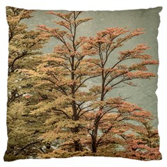 Landscape Scene Colored Trees At Glacier Lake  Patagonia Argentina Large Cushion Case (two Sides) by dflcprints