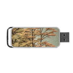 Landscape Scene Colored Trees At Glacier Lake  Patagonia Argentina Portable Usb Flash (one Side) by dflcprints