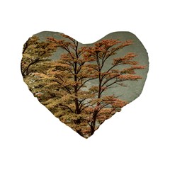 Landscape Scene Colored Trees At Glacier Lake  Patagonia Argentina Standard 16  Premium Heart Shape Cushions by dflcprints