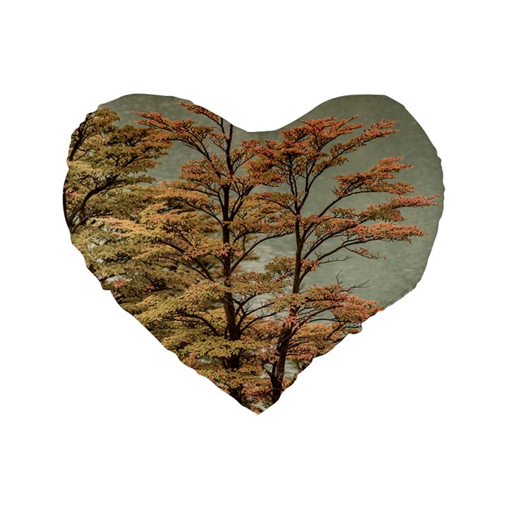 Landscape Scene Colored Trees At Glacier Lake  Patagonia Argentina Standard 16  Premium Heart Shape Cushions