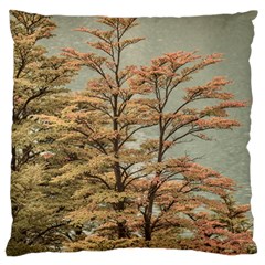 Landscape Scene Colored Trees At Glacier Lake  Patagonia Argentina Standard Flano Cushion Case (two Sides) by dflcprints