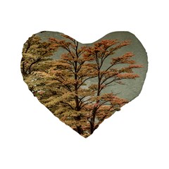 Landscape Scene Colored Trees At Glacier Lake  Patagonia Argentina Standard 16  Premium Flano Heart Shape Cushions by dflcprints