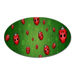 Ladybugs Red Leaf Green Polka Animals Insect Oval Magnet by Mariart