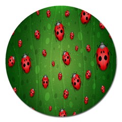 Ladybugs Red Leaf Green Polka Animals Insect Magnet 5  (round)