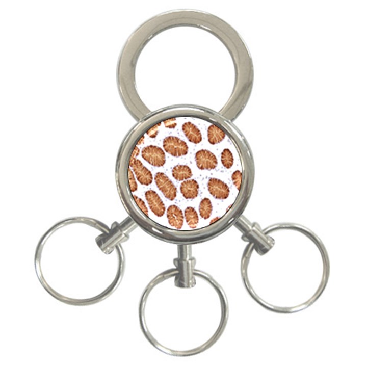 Formalin Paraffin Human Stomach Stained Bacteria Brown 3-Ring Key Chains