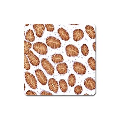 Formalin Paraffin Human Stomach Stained Bacteria Brown Square Magnet