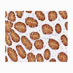 Formalin Paraffin Human Stomach Stained Bacteria Brown Small Glasses Cloth (2-side) by Mariart