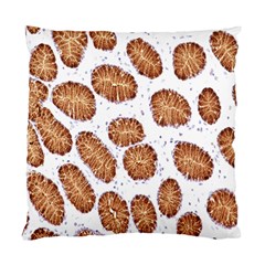 Formalin Paraffin Human Stomach Stained Bacteria Brown Standard Cushion Case (two Sides)