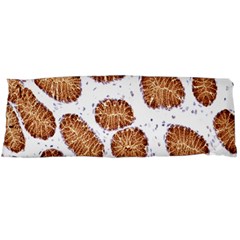 Formalin Paraffin Human Stomach Stained Bacteria Brown Body Pillow Case (dakimakura) by Mariart