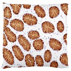 Formalin Paraffin Human Stomach Stained Bacteria Brown Large Cushion Case (two Sides) by Mariart